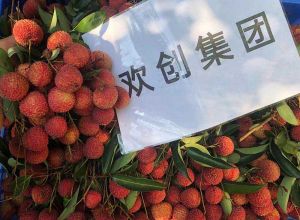 夏日好“枝”味，乐鱼·体育-乐鱼（中国）一站式服务官方网站
集团发福“荔”啦
