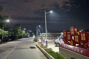 乐鱼·体育-乐鱼（中国）一站式服务官方网站
集团罗宁弟爱心捐赠路灯，点亮乡村路温暖乡民心